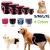 Pet Underwear Physiological Sanitary Shorts Dog Diapers Physiological Pants Soft Washable Female Dog Shorts